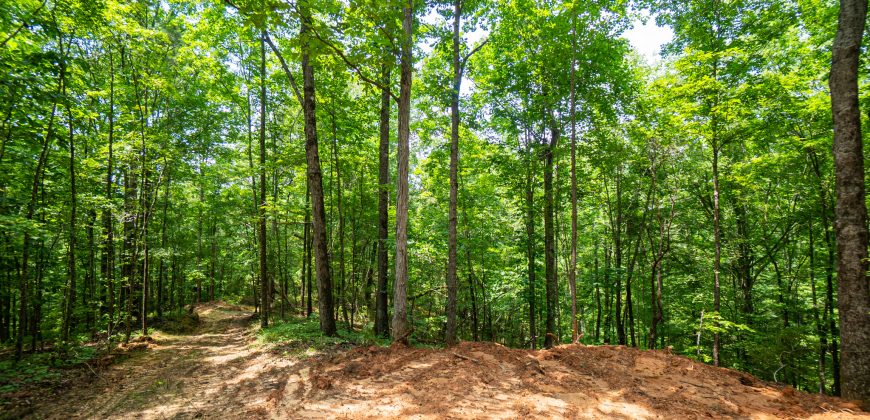 Chattahoochee Hardwoods