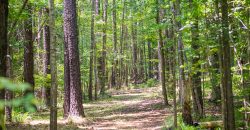 Chattahoochee Hardwoods