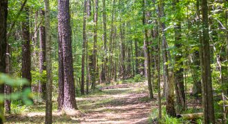 Chattahoochee Hardwoods
