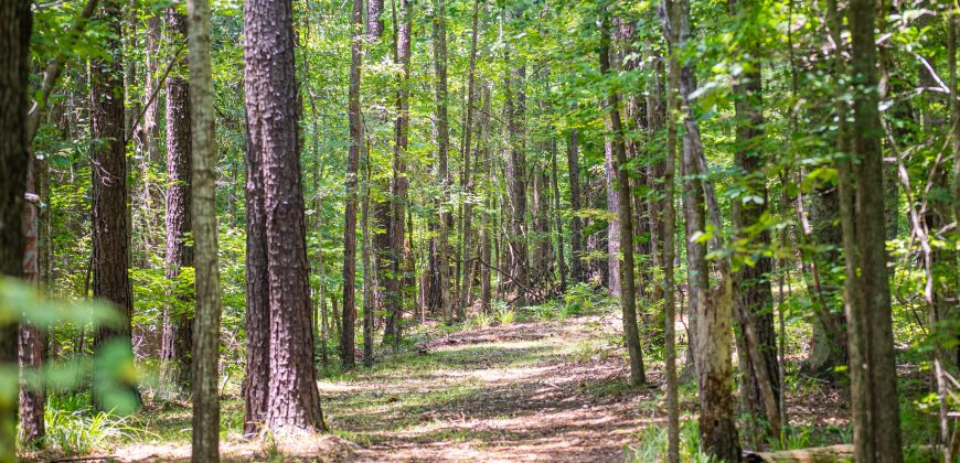 Chattahoochee Hardwoods
