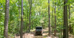 Chattahoochee Hardwoods