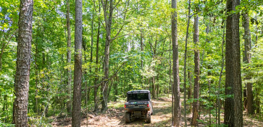 Chattahoochee Hardwoods