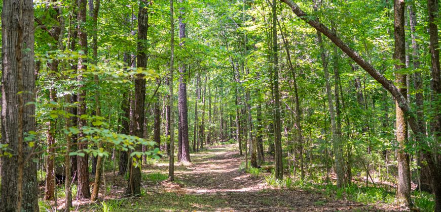 Chattahoochee Hardwoods