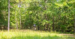Chattahoochee Hardwoods
