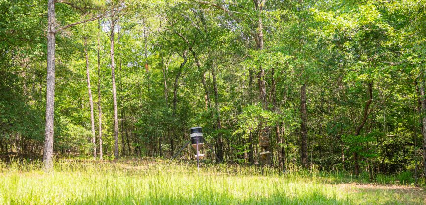 Chattahoochee Hardwoods