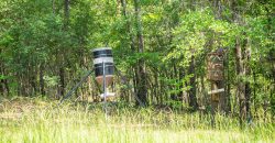 Chattahoochee Hardwoods