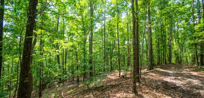 Chattahoochee Hardwoods