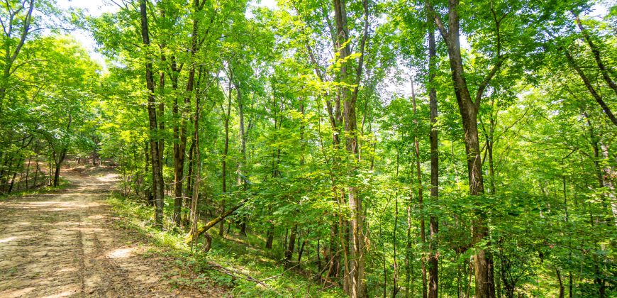 Chattahoochee Hardwoods