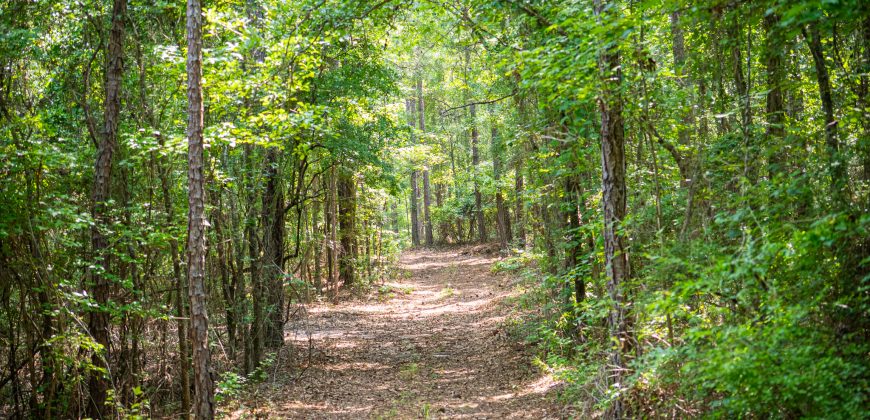 Chattahoochee Hardwoods