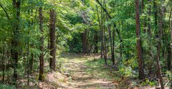 Chattahoochee Hardwoods