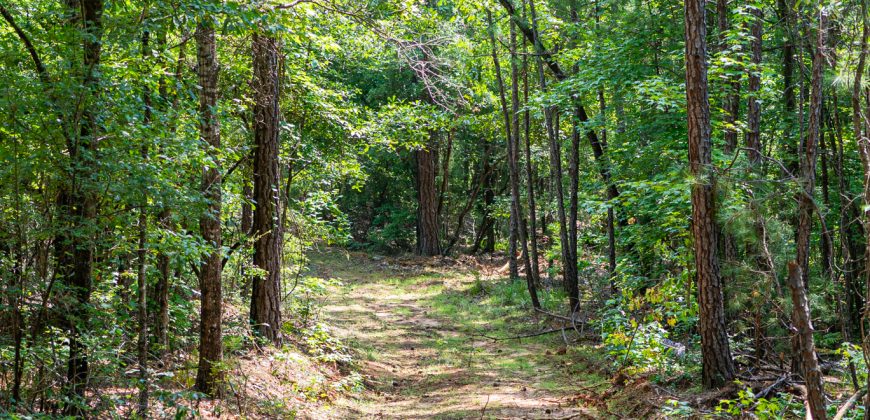 Chattahoochee Hardwoods