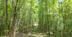 Chattahoochee Hardwoods