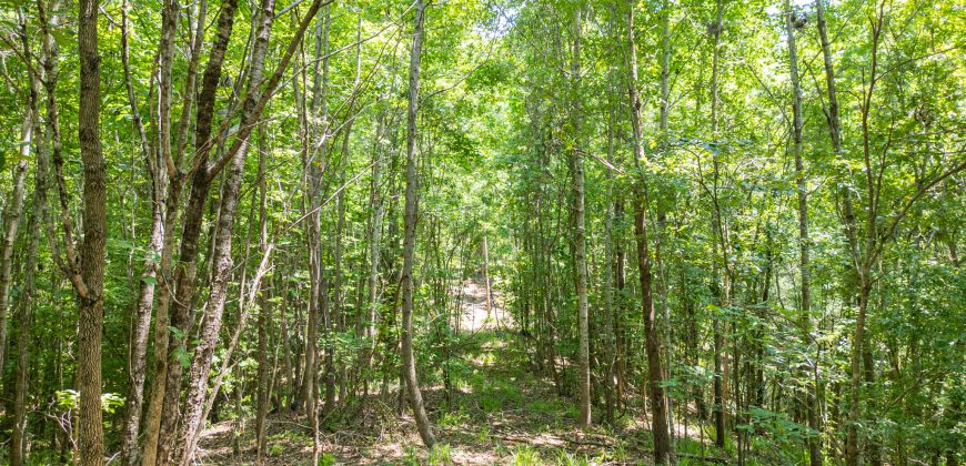 Chattahoochee Hardwoods