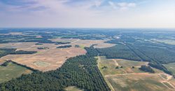 Dooly Pecan Orchard