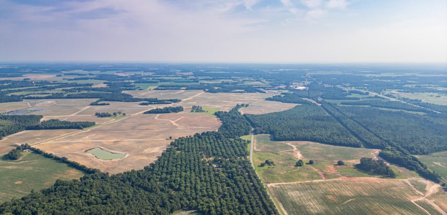 Dooly Pecan Orchard