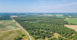 Dooly Pecan Orchard