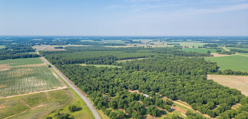 Dooly Pecan Orchard
