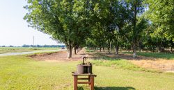 Dooly Pecan Orchard