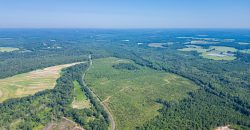 Macon County Deer Trax