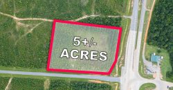 Twiggs County Commercial 5+/- Acres