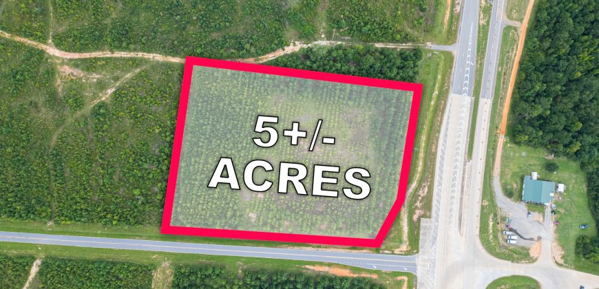 Twiggs County Commercial 5+/- Acres