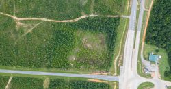 Twiggs County Commercial 5+/- Acres