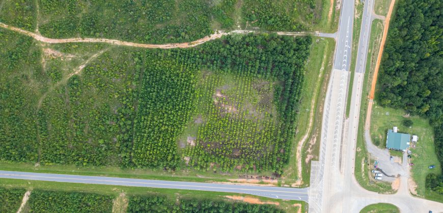 Twiggs County Commercial 5+/- Acres
