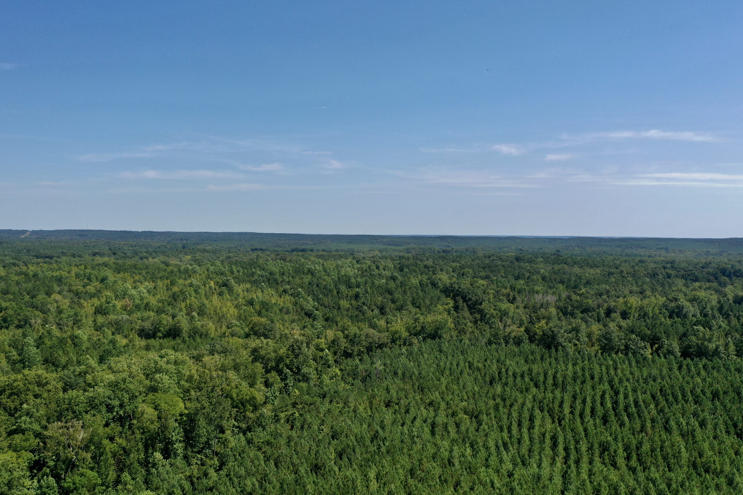 Crawford County 41 +/- acre North Farm