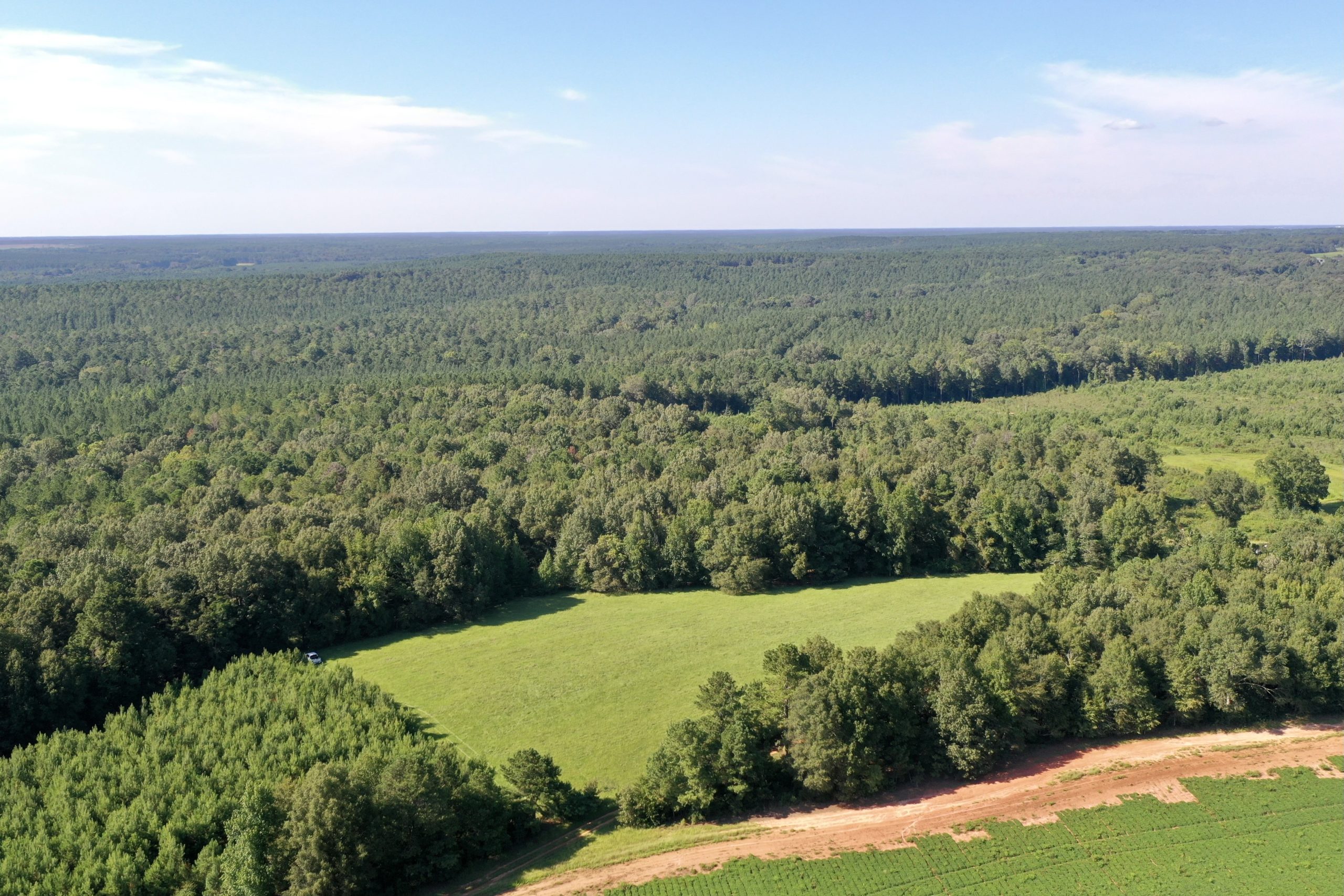 Macon County 22+/- Mini Farm