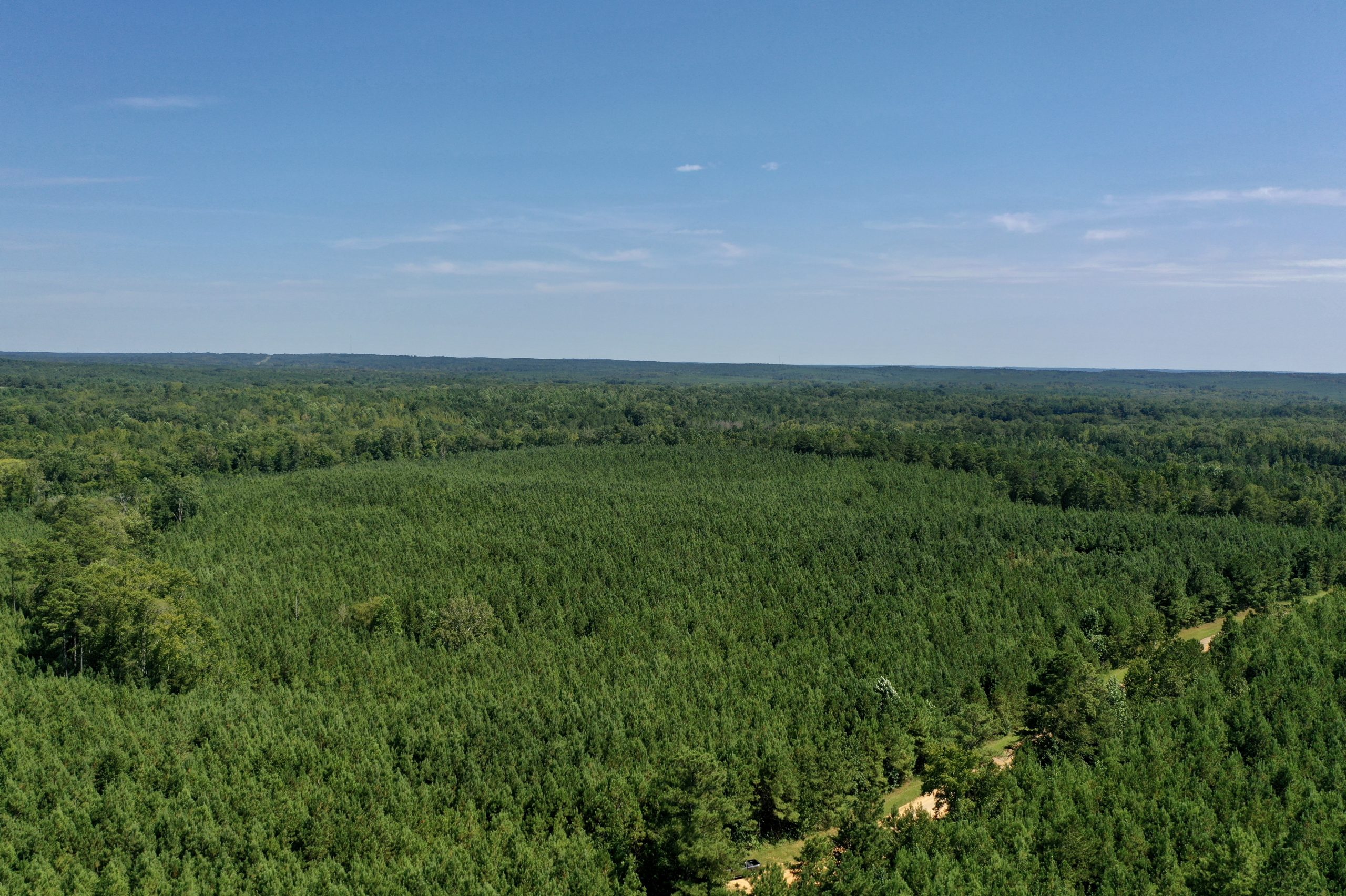 Crawford County  41 +/- acre South Farm