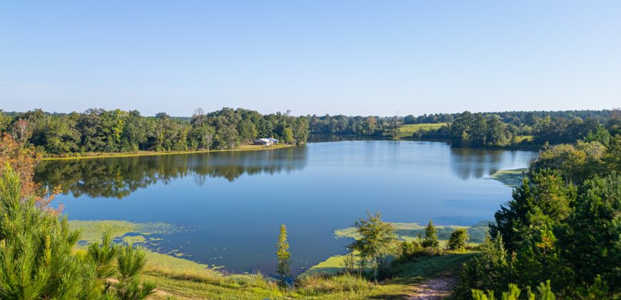 Wainwright Lake Farm