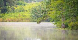 Wainwright Lake Farm