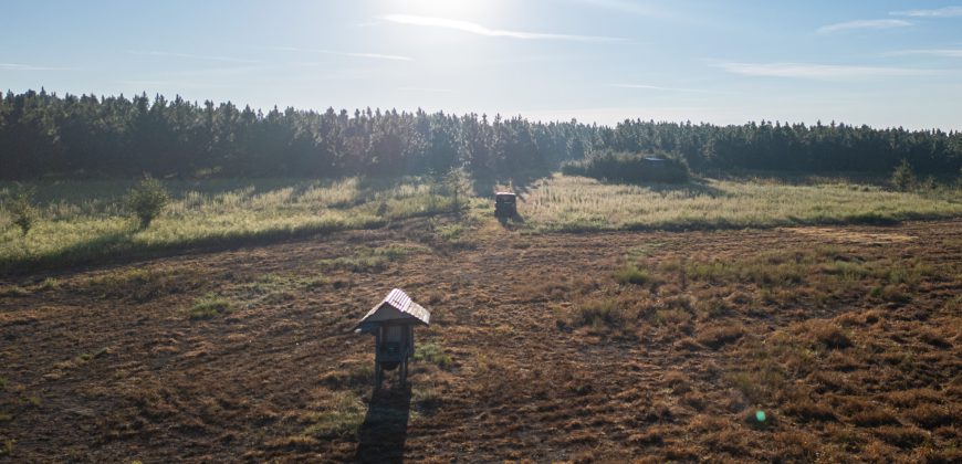 Wainwright Lake Farm