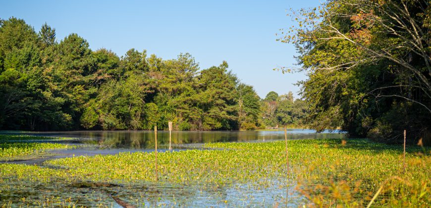 Wainwright Lake Farm