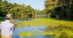 Wainwright Lake Farm