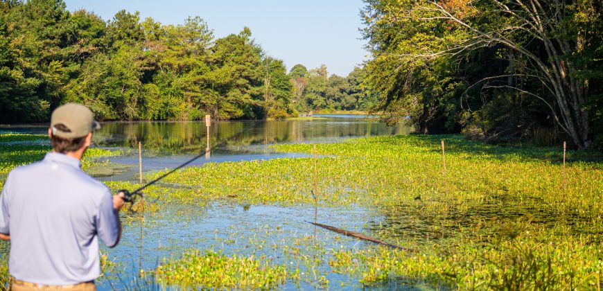 Wainwright Lake Farm