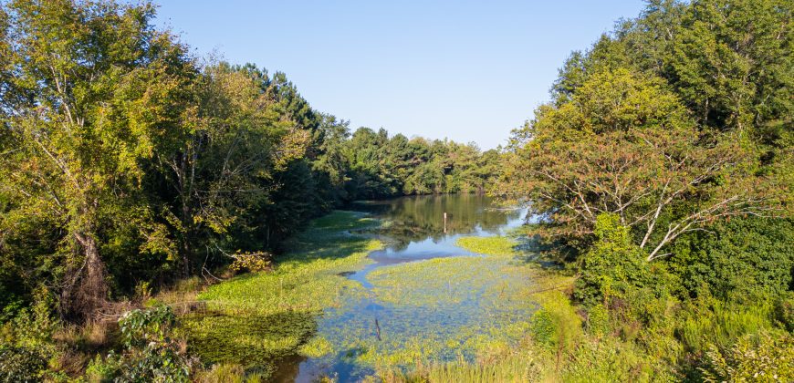 Wainwright Lake Farm