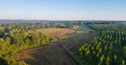 Wainwright Lake Farm