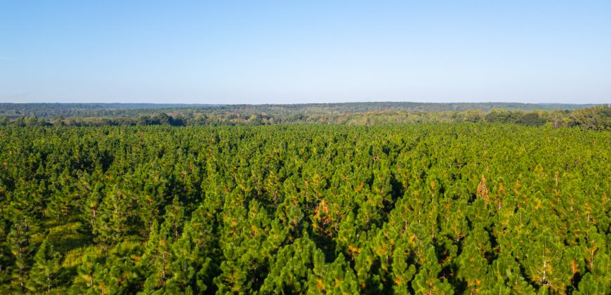 Wainwright Lake Farm