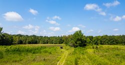 Magnolia Farms