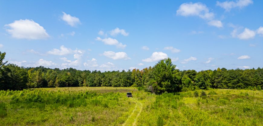 Magnolia Farms