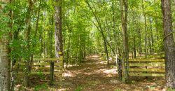 Camp Creek
