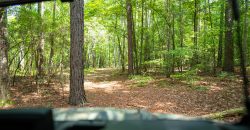 Camp Creek