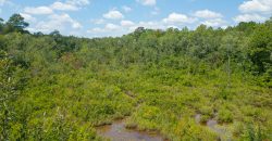 Camp Creek