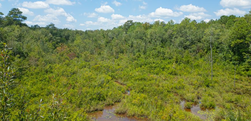 Camp Creek