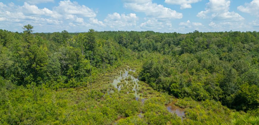 Camp Creek