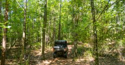 Camp Creek