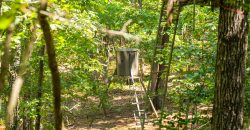Camp Creek