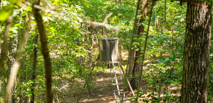 Camp Creek