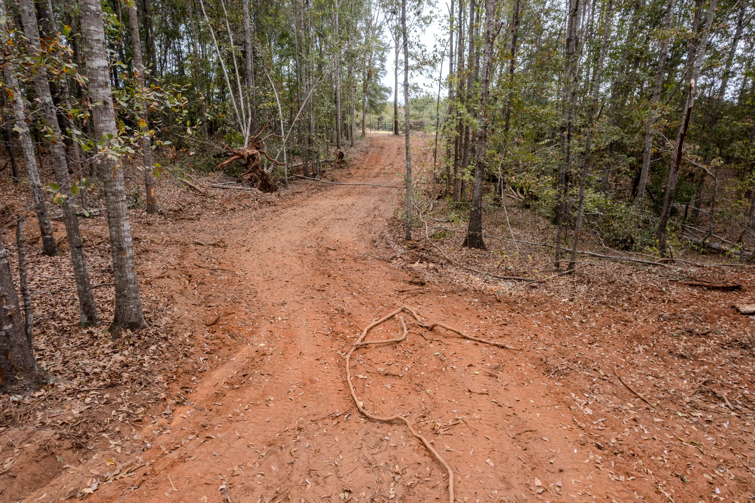 Peach County Recreational Tract Peach County Recreational Tract